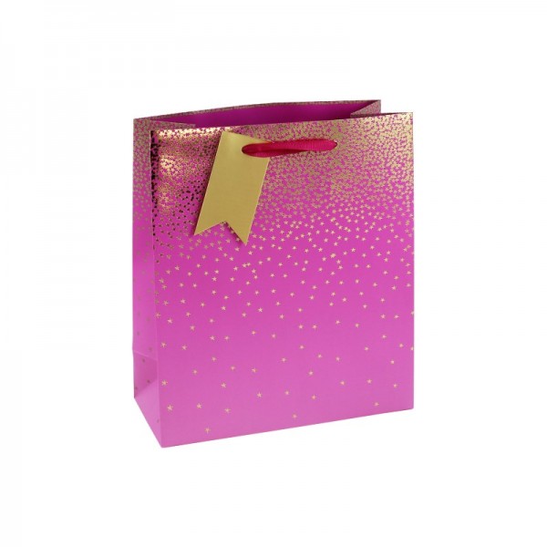 Pink Ombre Medium Bag (12)