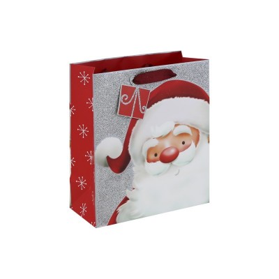 Santa Silver Glitter Medium Bag  (12)