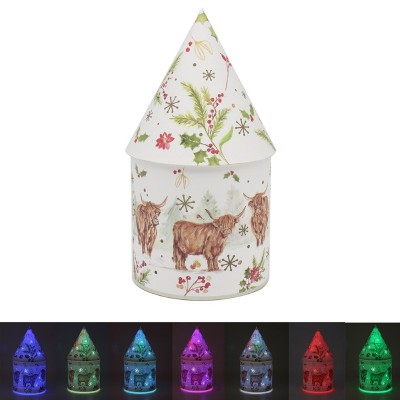 Highland Cow LED House (6)