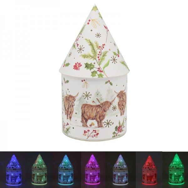 Highland Cow LED House (6)