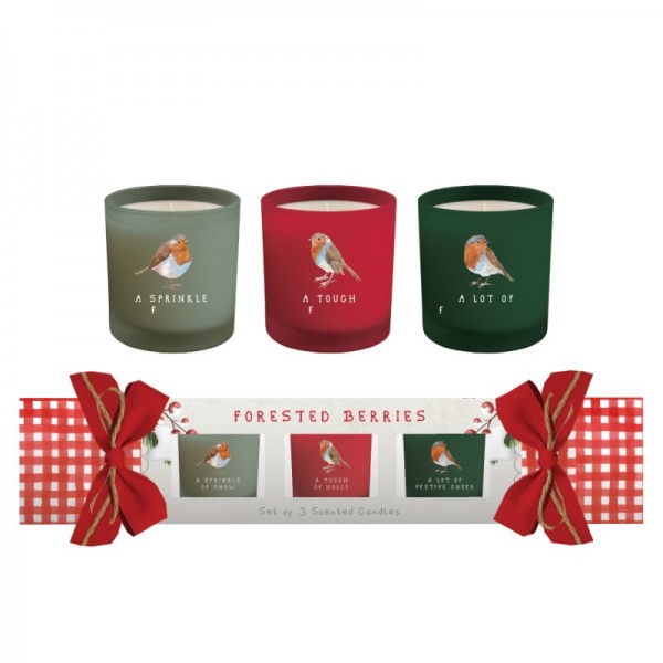 Set Of 3 Scented Candles 50g Pine & Cypress Fragrance In Cracker Gift Box (4)