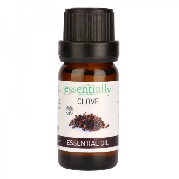 Essential Oils Sleeve - Clove - 12